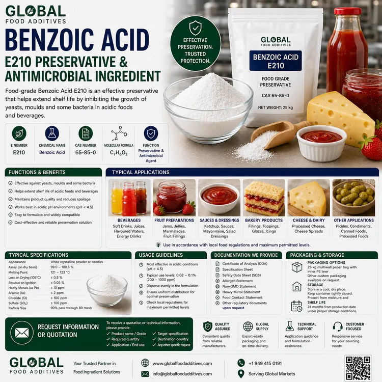 Food-grade Benzoic Acid E210 preservative for industrial food and beverage applications