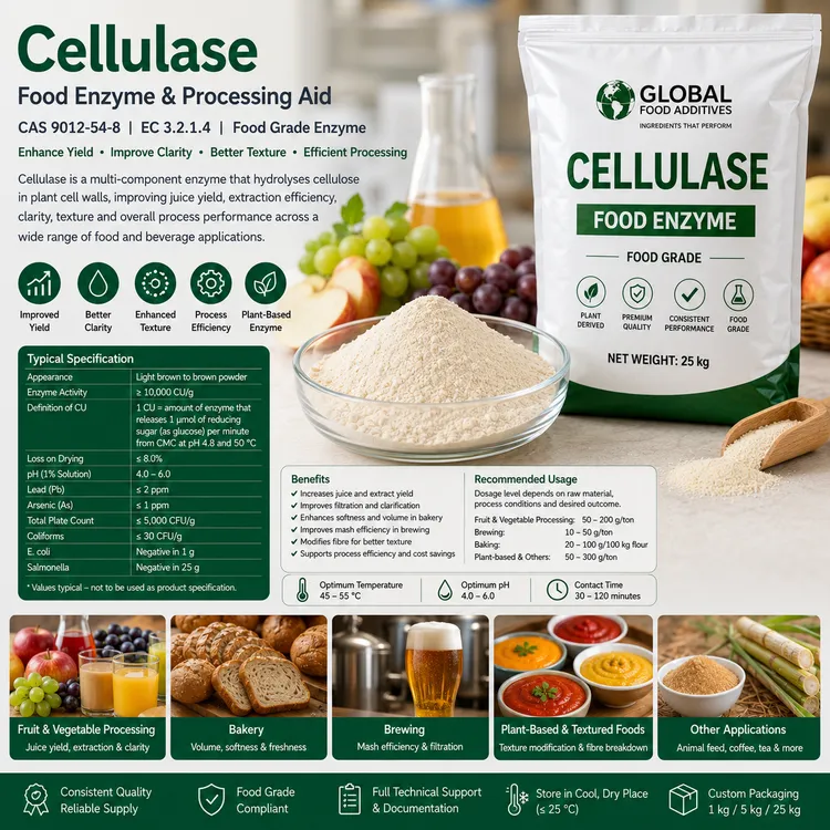 Cellulase food enzyme processing aid food additive ingredient illustration