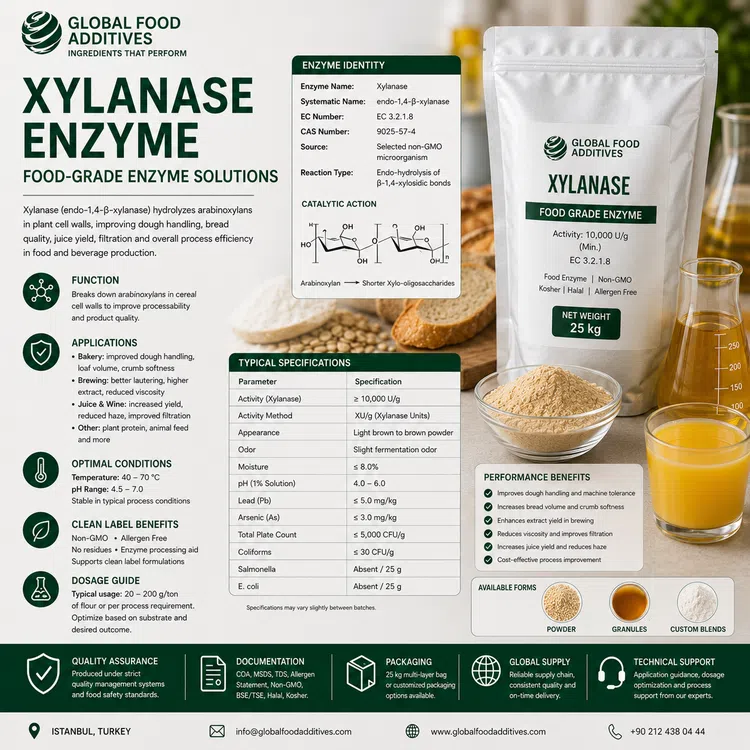 Food-grade Xylanase enzyme preparation for industrial food processing
